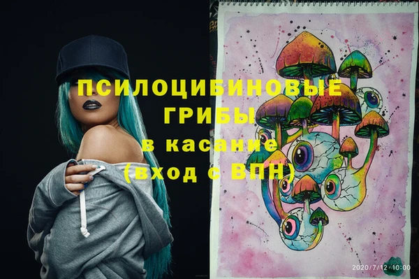 мдпв Мегион