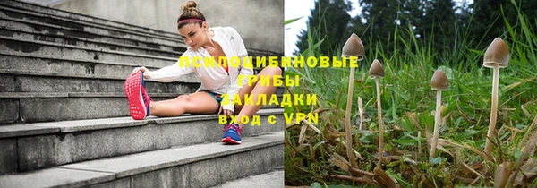 мдпв Мегион