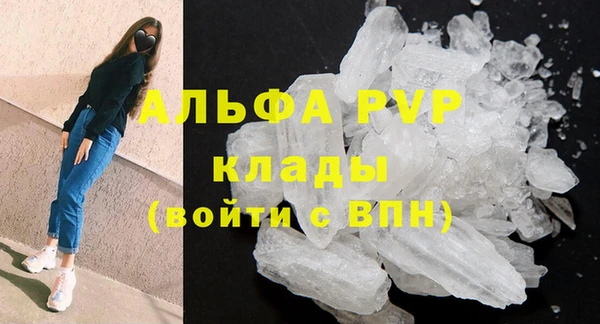 спиды Медвежьегорск